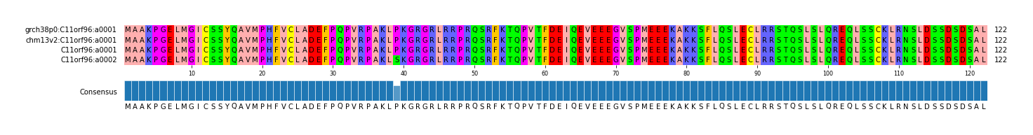Multiple Alignments (by translate haplotype similarity)