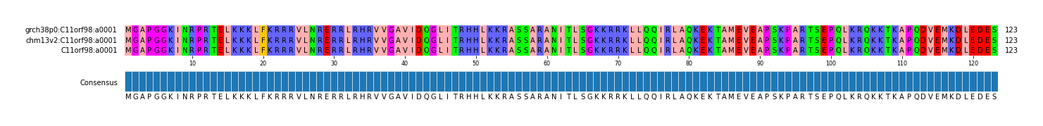 Multiple Alignments (by translate haplotype similarity)