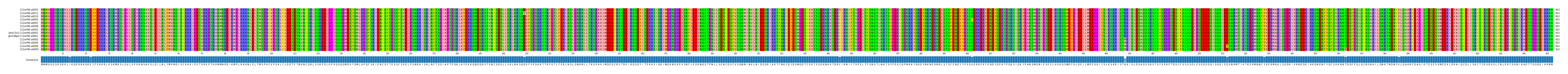 Multiple Alignments (by translate haplotype similarity)