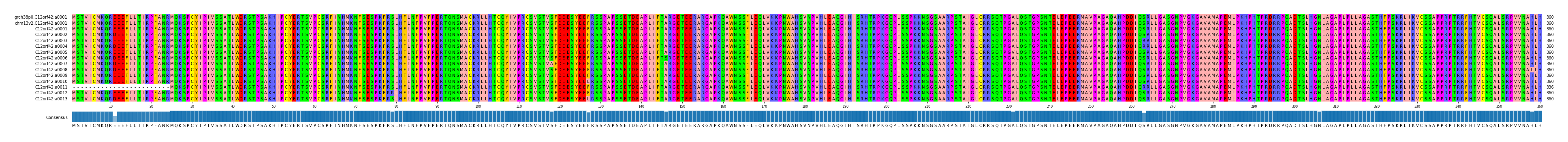 Multiple Alignments (by translate haplotype frequency)