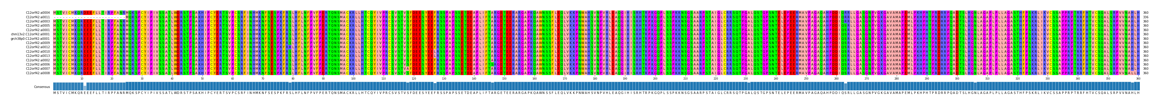 Multiple Alignments (by translate haplotype similarity)