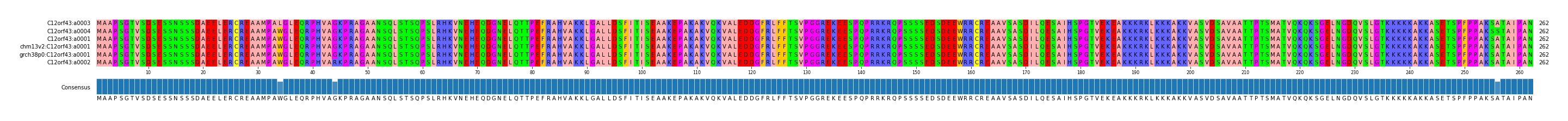 Multiple Alignments (by translate haplotype similarity)