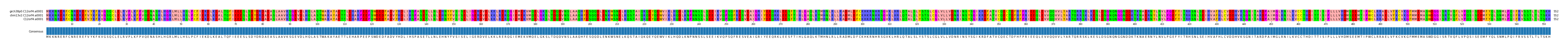 Multiple Alignments (by translate haplotype frequency)