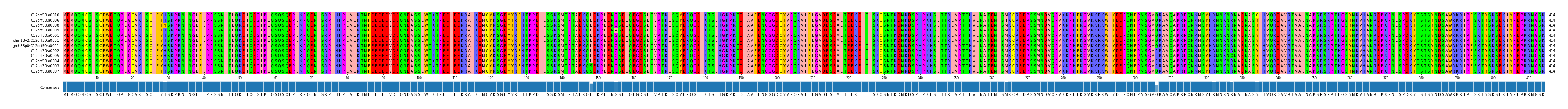 Multiple Alignments (by translate haplotype similarity)