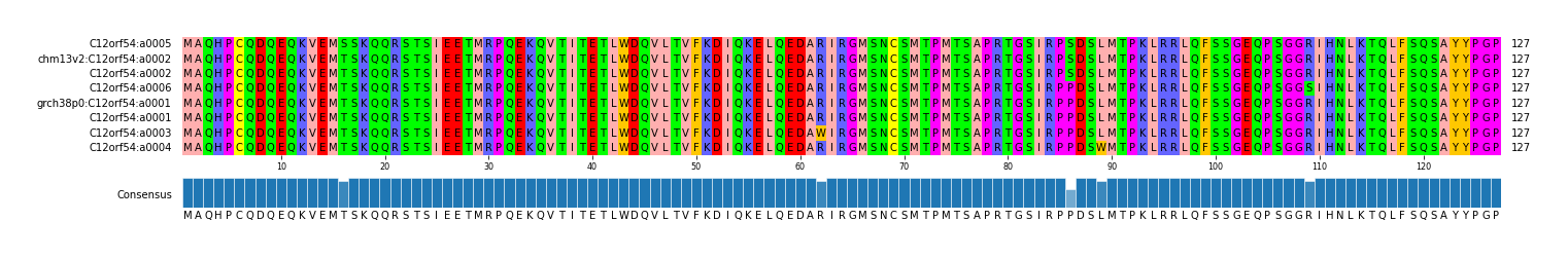 Multiple Alignments (by translate haplotype similarity)