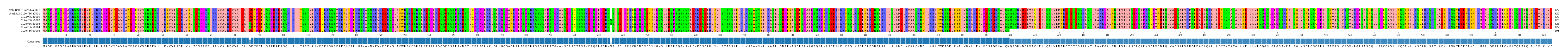 Multiple Alignments (by translate haplotype frequency)