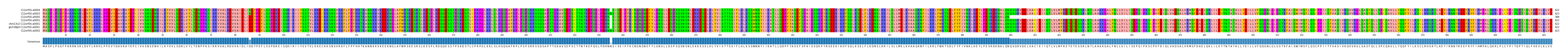 Multiple Alignments (by translate haplotype similarity)