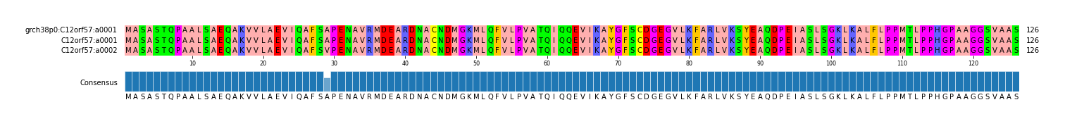 Multiple Alignments (by translate haplotype similarity)