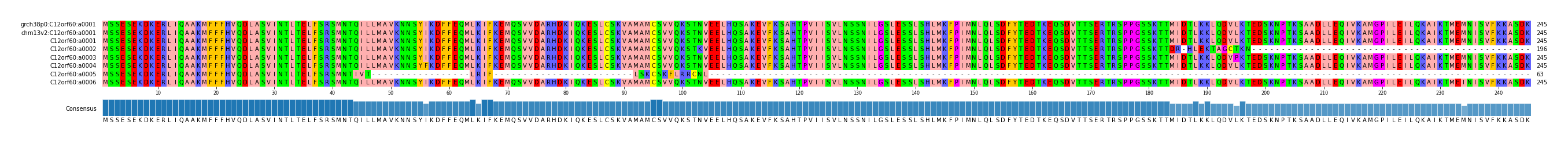 Multiple Alignments (by translate haplotype frequency)