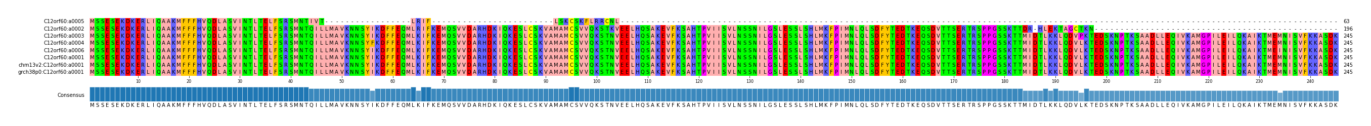 Multiple Alignments (by translate haplotype similarity)