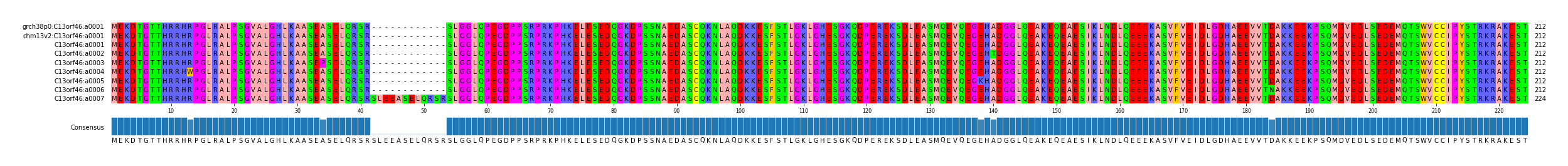 Multiple Alignments (by translate haplotype frequency)