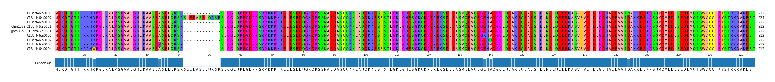 Multiple Alignments (by translate haplotype similarity)