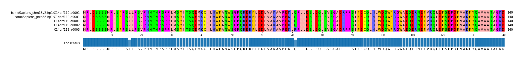 Multiple Alignments (by translate haplotype frequency)