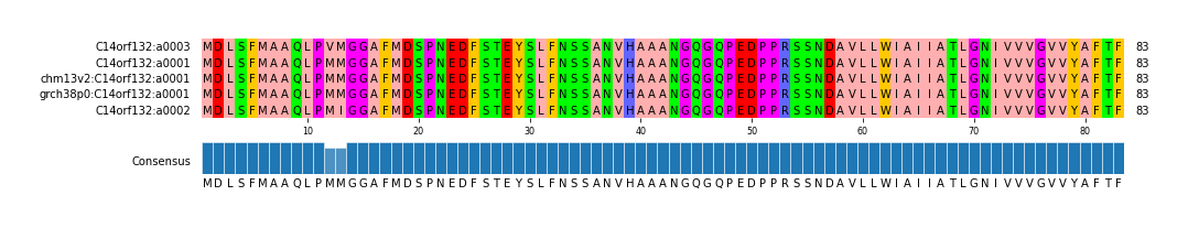 Multiple Alignments (by translate haplotype similarity)
