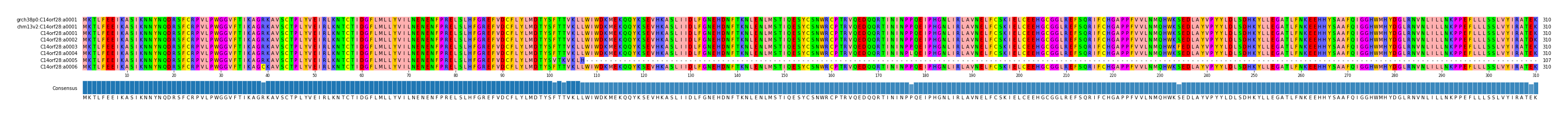 Multiple Alignments (by translate haplotype frequency)