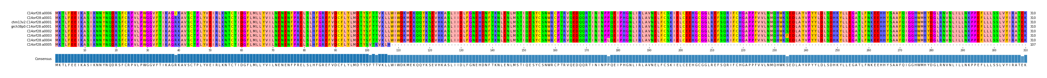 Multiple Alignments (by translate haplotype similarity)