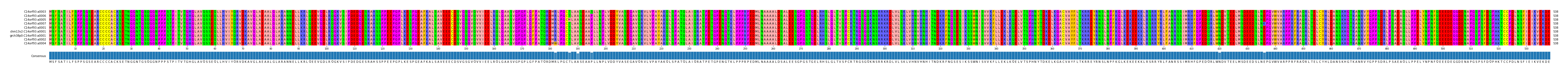 Multiple Alignments (by translate haplotype similarity)