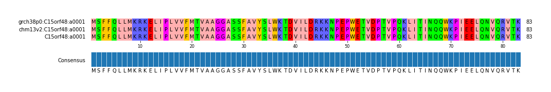 Multiple Alignments (by translate haplotype similarity)