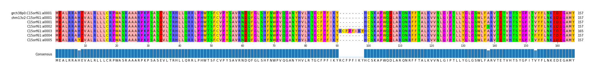 Multiple Alignments (by translate haplotype frequency)