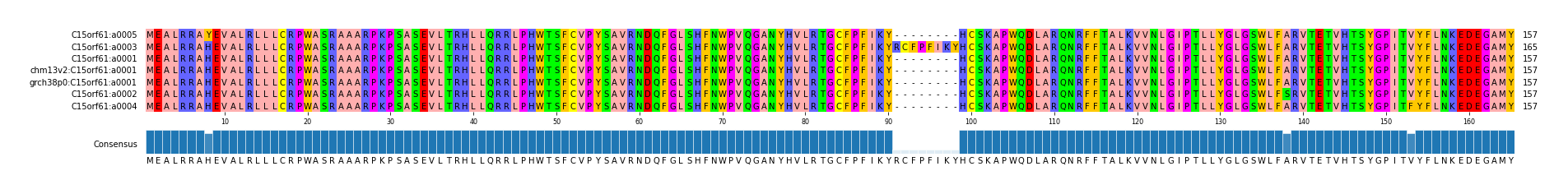 Multiple Alignments (by translate haplotype similarity)