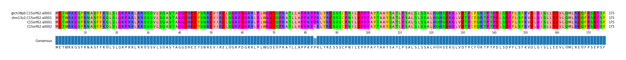 Multiple Alignments (by translate haplotype similarity)