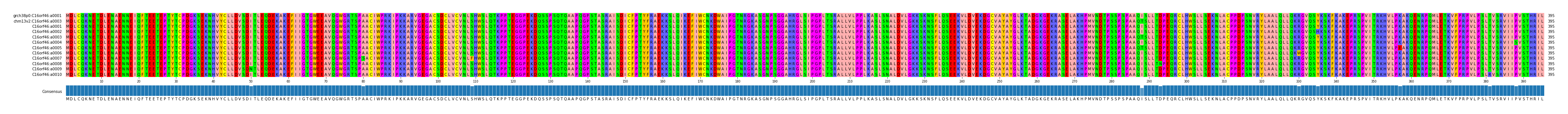 Multiple Alignments (by translate haplotype frequency)