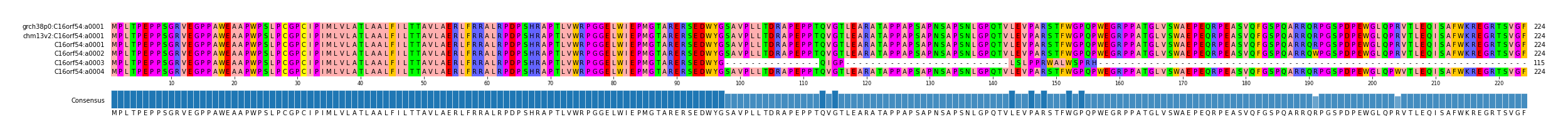 Multiple Alignments (by translate haplotype frequency)