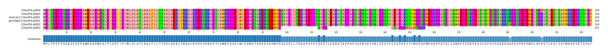 Multiple Alignments (by translate haplotype similarity)