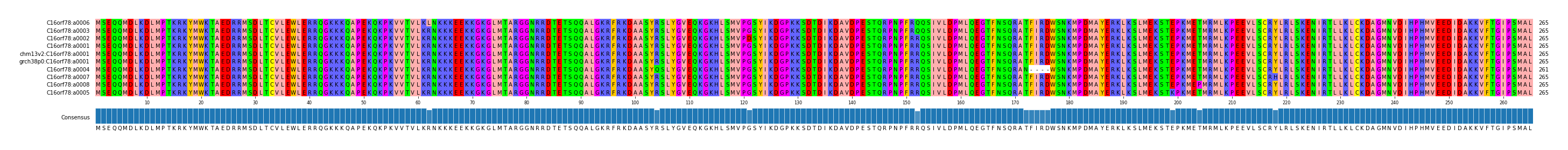 Multiple Alignments (by translate haplotype similarity)