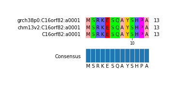 Multiple Alignments (by translate haplotype similarity)