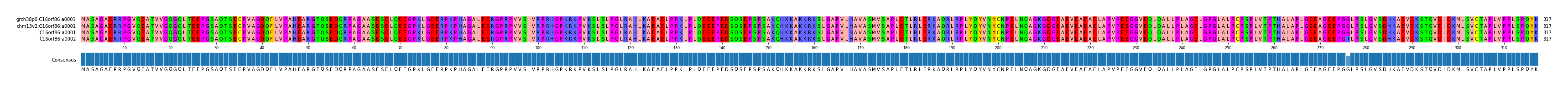Multiple Alignments (by translate haplotype similarity)