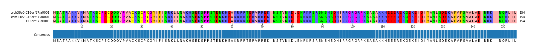 Multiple Alignments (by translate haplotype similarity)
