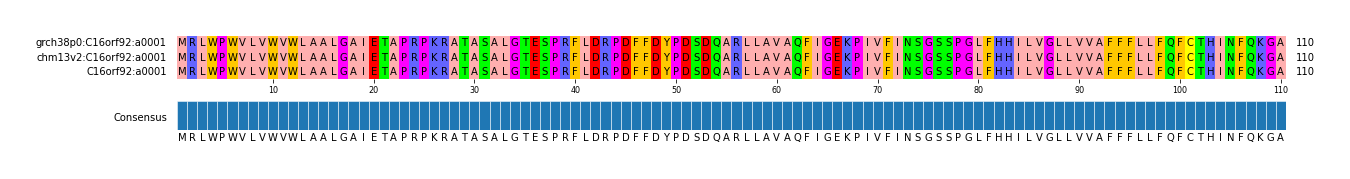 Multiple Alignments (by translate haplotype similarity)