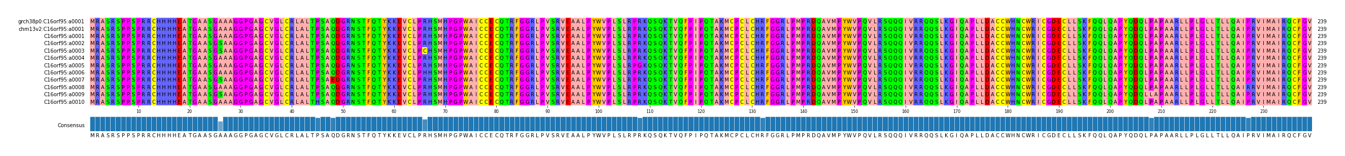 Multiple Alignments (by translate haplotype frequency)