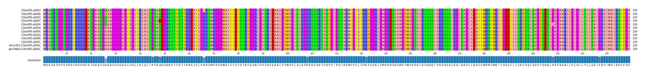 Multiple Alignments (by translate haplotype similarity)