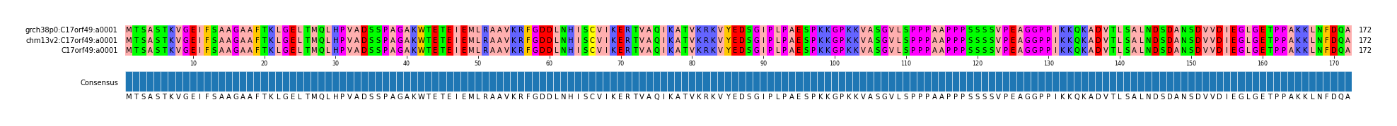 Multiple Alignments (by translate haplotype similarity)