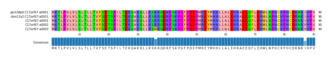 Multiple Alignments (by translate haplotype similarity)