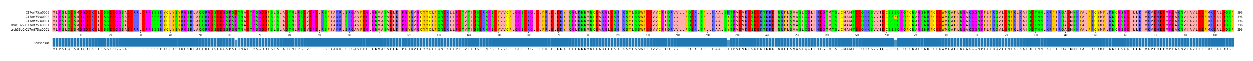 Multiple Alignments (by translate haplotype similarity)