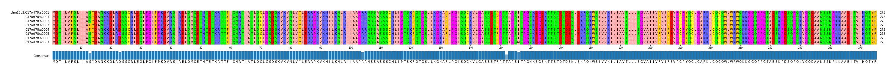 Multiple Alignments (by translate haplotype frequency)