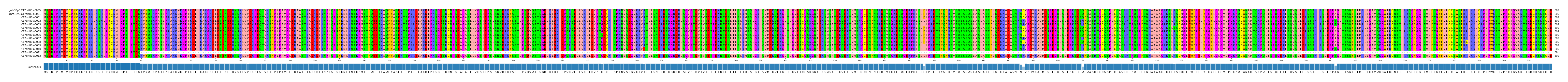 Multiple Alignments (by translate haplotype frequency)
