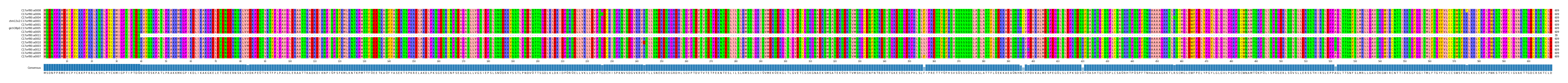 Multiple Alignments (by translate haplotype similarity)