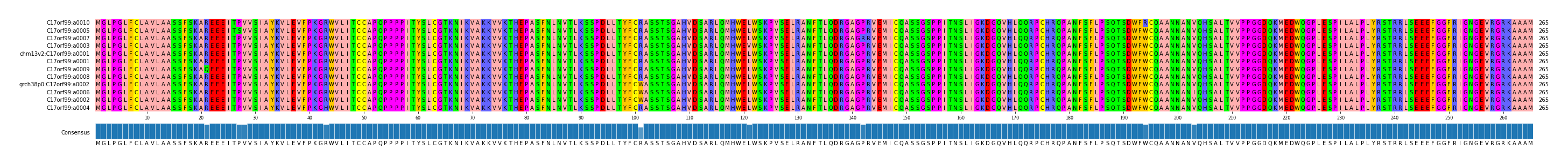 Multiple Alignments (by translate haplotype similarity)
