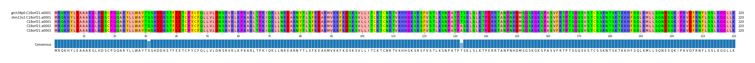 Multiple Alignments (by translate haplotype similarity)