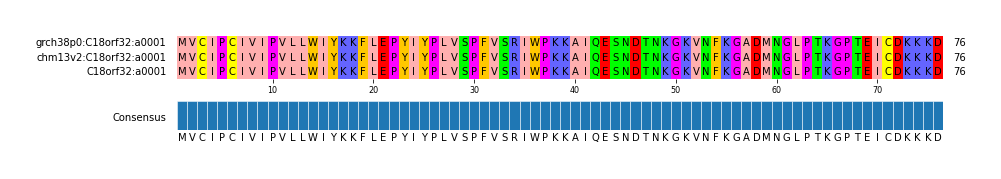 Multiple Alignments (by translate haplotype frequency)