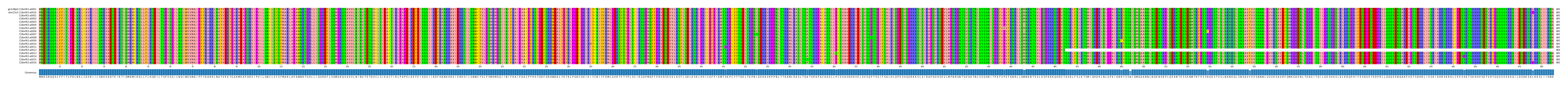 Multiple Alignments (by translate haplotype frequency)