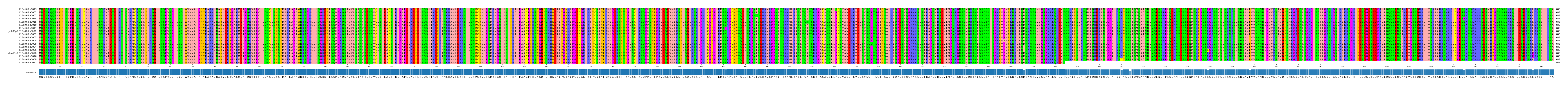 Multiple Alignments (by translate haplotype similarity)