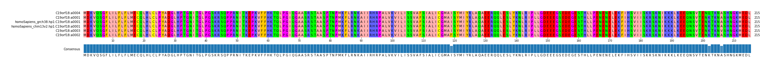 Multiple Alignments (by translate haplotype similarity)