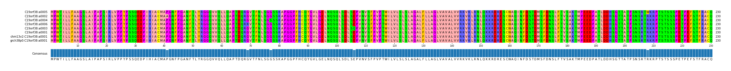 Multiple Alignments (by translate haplotype similarity)
