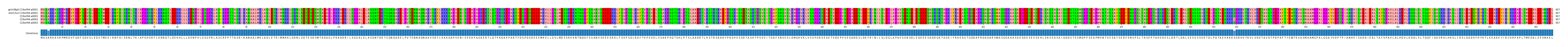 Multiple Alignments (by translate haplotype frequency)
