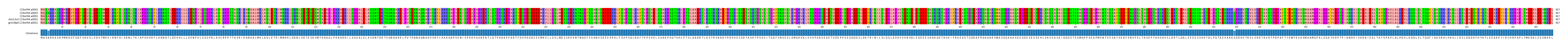 Multiple Alignments (by translate haplotype similarity)